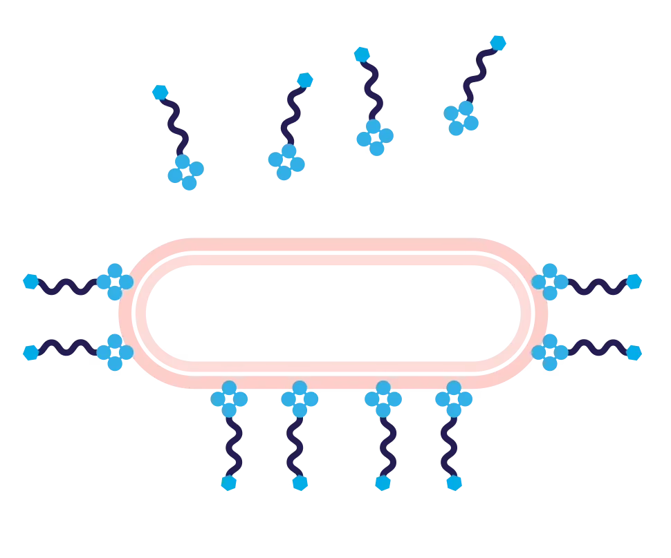 A diagram to depict step one of the Alphamer process in a simplified visual form.