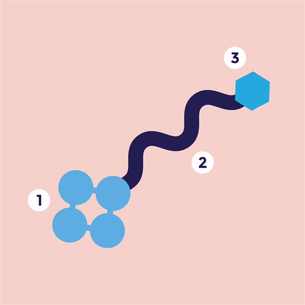 A diagram to depict the adjacent text in a simplified visual form.